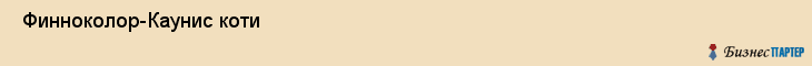  Финноколор-Каунис коти , Санкт-Петербург