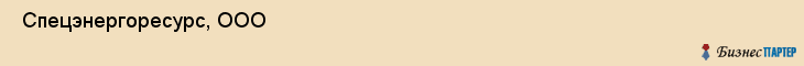  Спецэнергоресурс, ООО , Санкт-Петербург