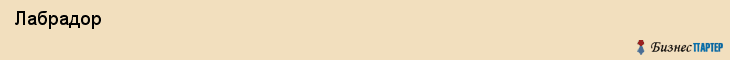  Лабрадор , Санкт-Петербург