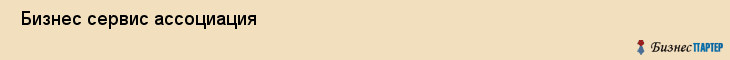  Бизнес сервис ассоциация , Санкт-Петербург