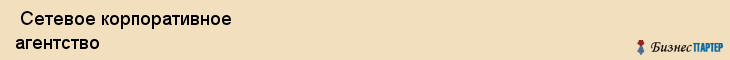  Сетевое корпоративное агентство , Санкт-Петербург