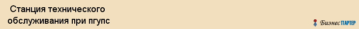  Станция технического обслуживания при пгупс , Санкт-Петербург