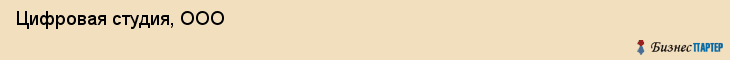  Цифровая студия, ООО , Санкт-Петербург