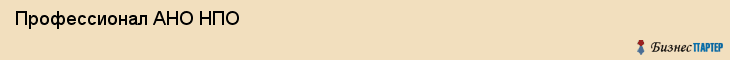  Профессионал АНО НПО , Санкт-Петербург