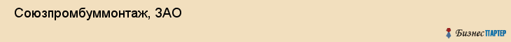  Союзпромбуммонтаж, ЗАО , Санкт-Петербург
