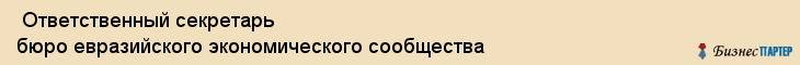  Ответственный секретарь бюро евразийского экономического сообщества , Санкт-Петербург