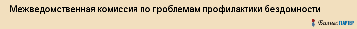 Межведомственная комиссия по проблемам профилактики бездомности , Санкт-Петербург