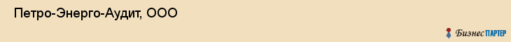  Петро-Энерго-Аудит, ООО , Санкт-Петербург