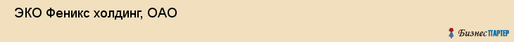  ЭКО Феникс холдинг, ОАО , Санкт-Петербург