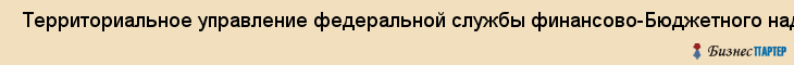  Территориальное управление федеральной службы финансово-Бюджетного надзора в ленинградской области , Санкт-Петербург