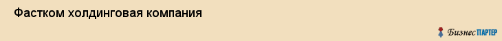  Фастком холдинговая компания , Санкт-Петербург