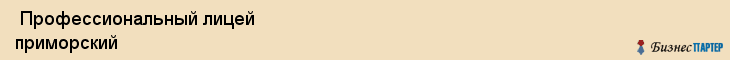  Профессиональный лицей приморский , Санкт-Петербург