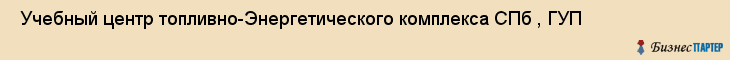  Учебный центр топливно-Энергетического комплекса СПб , ГУП , Санкт-Петербург