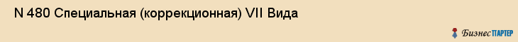  N 480 Специальная (коррекционная) VII Вида , Санкт-Петербург