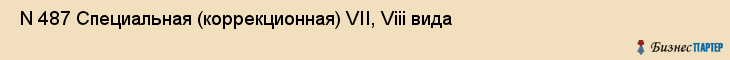  N 487 Специальная (коррекционная) VII, Viii вида , Санкт-Петербург