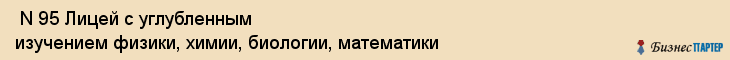  N 95 Лицей с углубленным изучением физики, химии, биологии, математики , Санкт-Петербург