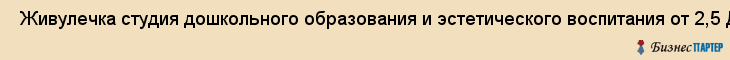  Живулечка студия дошкольного образования и эстетического воспитания от 2,5 До 7 ЛЕТ , Санкт-Петербург