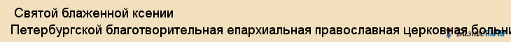  Святой блаженной ксении Петербургской благотворительная епархиальная православная церковная больница , Санкт-Петербург
