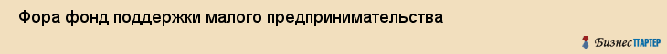  Фора фонд поддержки малого предпринимательства , Санкт-Петербург