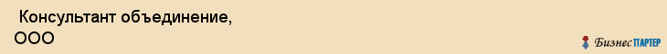  Консультант объединение, ООО , Санкт-Петербург