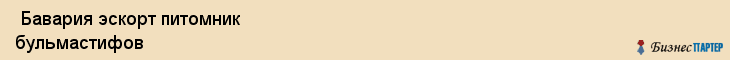  Бавария эскорт питомник бульмастифов , Санкт-Петербург
