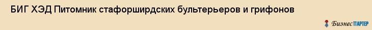  БИГ ХЭД Питомник стафорширдских бультерьеров и грифонов , Санкт-Петербург