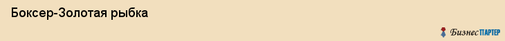  Боксер-Золотая рыбка , Санкт-Петербург