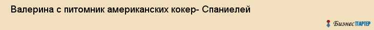  Валерина с питомник американских кокер- Спаниелей , Санкт-Петербург