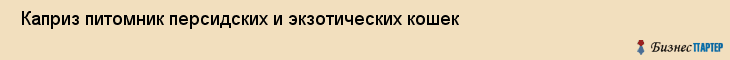  Каприз питомник персидских и экзотических кошек , Санкт-Петербург