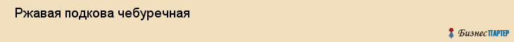  Ржавая подкова чебуречная , Санкт-Петербург