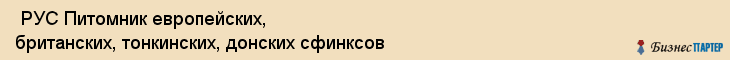  РУС Питомник европейских, британских, тонкинских, донских сфинксов , Санкт-Петербург