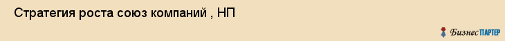  Стратегия роста союз компаний , НП , Санкт-Петербург
