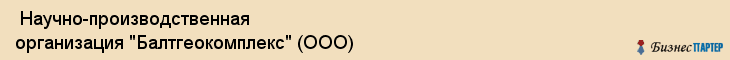  Научно-производственная организация "Балтгеокомплекс" (ООО) , Санкт-Петербург